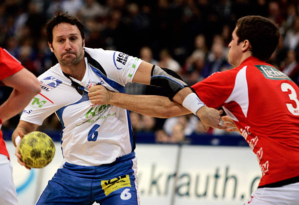 提出了新的 提出了新的