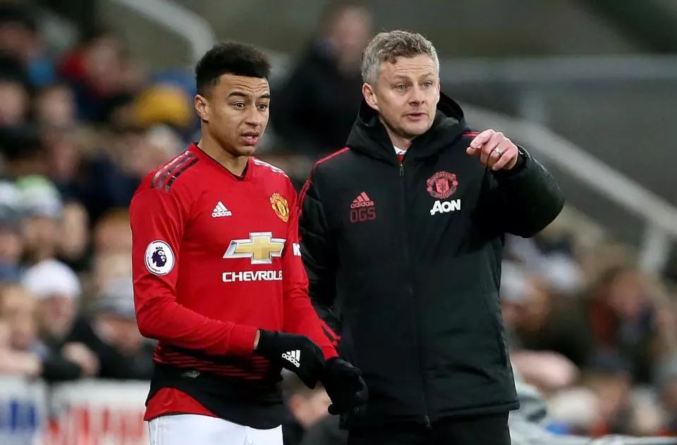 比仅参加本 比仅参加本